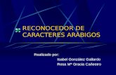 RECONOCEDOR DE CARACTERES ARÁBIGOS Realizado por: Isabel González Gallardo Rosa Mª Gracia Cañestro.