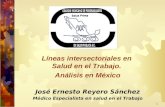 1 Líneas intersectoriales en Salud en el Trabajo. Análisis en México José Ernesto Reyero Sánchez Médico Especialista en salud en el Trabajo.