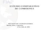 ESTUDIO COMPARATIVO DE COMISIONES REUNION DE COORDINADORES Buenos Aires, Argentina 22 de Julio de 2002.