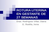 ROTURA UTERINA EN GESTANTE DE 27 SEMANAS Dras. Rodríguez Villar, Diana G. Rodilla, Irene.