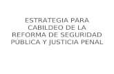ESTRATEGIA PARA CABILDEO DE LA REFORMA DE SEGURIDAD PÚBLICA Y JUSTICIA PENAL.