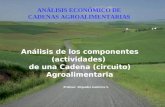 Profesor: Alejandro Gutiérrez S. Análisis de los componentes (actividades) de una Cadena (circuito) Agroalimentaria ANÁLISIS ECONÓMICO DE CADENAS AGROALIMENTARIAS.