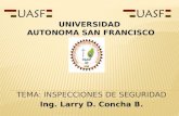 INSPECCIONES DE SEGURIDAD TEMA: INSPECCIONES DE SEGURIDAD Ing. Larry D. Concha B. UNIVERSIDAD AUTONOMA SAN FRANCISCO.