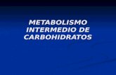 METABOLISMO INTERMEDIO DE CARBOHIDRATOS. CARBOHIDRATOS DE LA DIETA LACTOSA SACAROSA ESTOMAGO DEXTRINAS.