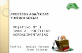 Objetivo Nº 1 Tema 2. POLÍTICAS AGROALIMENTARIAS PROCESOS AGRÍCOLAS Y MEDIO SOCIAL 1 Prof(s). Odalis Perdomo Jesús Salazar.