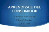APRENDIZAJE DEL CONSUMIDOR Catalina Fernández Elkin Calderón Gina Daza.