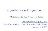 Ingeniería de Proyectos M.C. Juan Carlos Olivares Rojas jolivares@uvaq.edu.mx jcolivar Agosto, 2009.