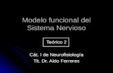 Modelo funcional del Sistema Nervioso Teórico 2 Cát. I de Neurofisiología Tit. Dr. Aldo Ferreres.