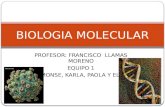 PROFESOR: FRANCISCO LLAMAS MORENO EQUIPO 1 MONSE, KARLA, PAOLA Y ELI BIOLOGIA MOLECULAR.