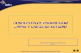 CONCEPTOS DE PRODUCCION LIMPIA Y CASOS DE ESTUDIO CENTRO DE PRODUCCION MAS LIMPIA INTEC.