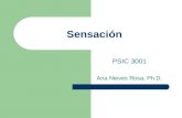 Sensación PSIC 3001 Ana Nieves Rosa, Ph.D.. Ejercicio de Avalúo Define Describe 1. estímulo. Teorías acerca del sentido 2. sensación 3. percepción 4.