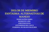 DOLOR DE MIEMBRO FANTASMA: ALTERNATIVAS DE MANEJO INGRID MUÑOZ PARRA RESIDENTE I AÑO ANESTESIOLOGIA UNIVERSIDAD DEL CAUCA COORDINA: DR NELSON PALECHOR.