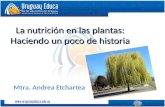 La nutrición en las plantas: Haciendo un poco de historia Mtra. Andrea Etchartea.