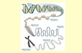 El dogma central de la Biología Molecular: DESCUBRIMIENTO DE DNA: Friederich Miescher aisla molécula que contiene fósforo desde pus. Friederich Miescher.