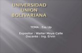 TEMA : Ess Up Expositor : Walter Moya Calle Docente : Ing. Ervin.