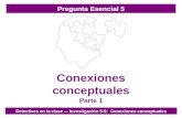 Conexiones conceptuales Parte 1 Detectives en la clase — Investigación 5-5: Conexiones conceptuales Pregunta Esencial 5.