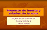 Proyecto de huerta y árboles de la zona Segundos Grados B y C Sexto Grado D Turno Tarde.