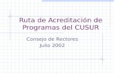 Ruta de Acreditación de Programas del CUSUR Consejo de Rectores Julio 2002.