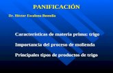 PANIFICACIÓN Dr. Héctor Escalona Buendía Características de materia prima: trigo Importancia del proceso de molienda Principales tipos de productos de.