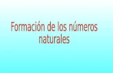 C R Q N Z Q + Z Q + R C N Q  Los números naturales surgen a partir de la cualidad cantidad (cardinalidad)  Los números naturales son infinitos.(Hay.