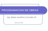PROGRAMACION DE OBRAS Ing. Maria Josefina Corredor M Merida, enero 2010.