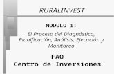 MODULO 1: El Proceso del Diagnóstico, Planificación, Análisis, Ejecución y Monitoreo RURALINVEST FAO Centro de Inversiones.