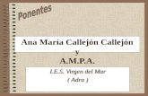 Ana María Callejón Callejón y A.M.P.A. I.E.S. Virgen del Mar ( Adra )