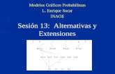 Sesión 13: Alternativas y Extensiones Modelos Gráficos Probabilistas L. Enrique Sucar INAOE.