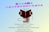 Profesora Carmen S. Collazo, Catedrática Auxiliar Pontificia Universidad Católica de Puerto Rico Ponce, Puerto Rico ccollazo@email.pucpr.edu.
