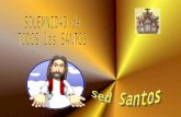 En el rezo del "Credo", profesamos una verdad: " Credo en la Comunión de los Santos". Hoy, en la fiesta de Todos los Santos, vamos a profundizar esta.