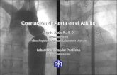 Coartación de Aorta en el Adulto Andrés Tobón R., M.D. Medicina Interna Fellow Angiología Clínica y Laboratorio Vascular Laboratorio Vascular Periférico.