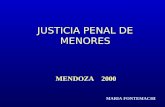 JUSTICIA PENAL DE MENORES MENDOZA 2000 MARIA FONTEMACHI.
