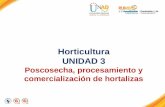 Horticultura UNIDAD 3 Poscosecha, procesamiento y comercialización de hortalizas.
