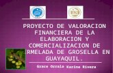 PROYECTO DE VALORACION FINANCIERA DE LA ELABORACION Y COMERCIALIZACION DE MERMELADA DE GROSELLA EN GUAYAQUIL. Grace Orrala Karina Rivera.