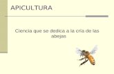 Ciencia que se dedica a la cría de las abejas APICULTURA.