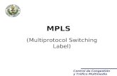 Control de Congestión y Tráfico Multimedia MPLS (Multiprotocol Switching Label)