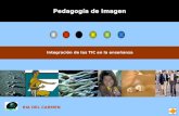 Pedagogía de Imagen Integración de las TIC en la enseñanza RIA DEL CARMEN.