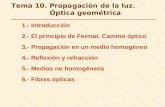 Tema 10. Propagación de la luz. Óptica geométrica 1.- Introducción 2.- El principio de Fermat. Camino óptico 3.- Propagación en un medio homogéneo 4.-