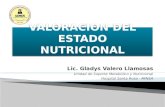 Lic. Gladys Valero Llamosas Unidad de Soporte Metabólico y Nutricional Hospital Santa Rosa - MINSA.