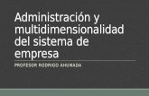 Administración y multidimensionalidad del sistema de empresa PROFESOR RODRIGO AHUMADA.