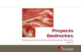 Proyecto Ibedroches Optimización del proceso de elaboración del jamón Ibérico.