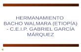 HERMANAMIENTO BACHO WALMARA (ETIOPÍA) - C.E.I.P. GABRIEL GARCÍA MÁRQUEZ.