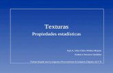 Texturas Propiedades estadísticas Trabajo dirigido para la asignatura Procesamiento de Imágenes Digitales de 5º II José.A. Díaz-Otero Muñoz-Repiso Federico.