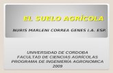 EL SUELO AGRÍCOLA NURIS MARLENI CORREA GENES I.A. ESP. UNIVERSIDAD DE CORDOBA FACULTAD DE CIENCIAS AGRÍCOLAS PROGRAMA DE INGENIERÍA AGRONOMICA 2009.