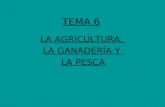 TEMA 6 LA AGRICULTURA, LA GANADERÍA Y LA PESCA.