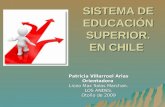 SISTEMA DE EDUCACIÓN SUPERIOR. EN CHILE Patricia Villarroel Arias Orientadora Liceo Max Salas Marchan. LOS ANDES. Otoño de 2009.