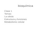 Bioquímica Clase 1 Temas: La célula Estructura y funciones Metabolismo celular.