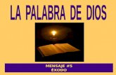 MENSAJE #5 ÉXODO LA PALABRA DE DIOS Cuenta con 40 capítulos. Éxodo significa "salida".