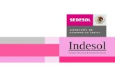 Indesol Instituto Nacional de Desarrollo Social. INSTITUTO NACIONAL DE DESARROLLO SOCIAL (INDESOL) Es un órgano desconcentrado de la Sedesol cuya misión.
