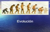 Evolución. Evolución Evolución es la transformación a lo largo del tiempo de un sistema u organismo. Es patente en muchos ámbitos de la Naturaleza. El.